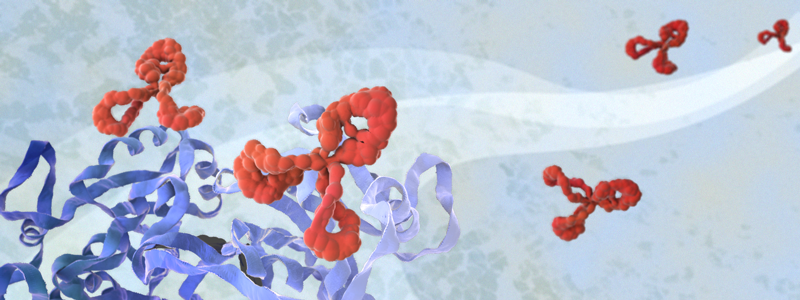 KPL熱銷(xiāo)二抗和底物限時(shí)優(yōu)惠活動(dòng)已啟動(dòng)！